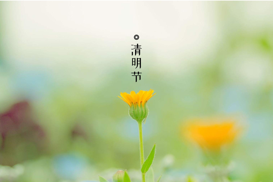 2019年3月網(wǎng)站數(shù)據(jù)備份說明及清明節(jié)放假通知